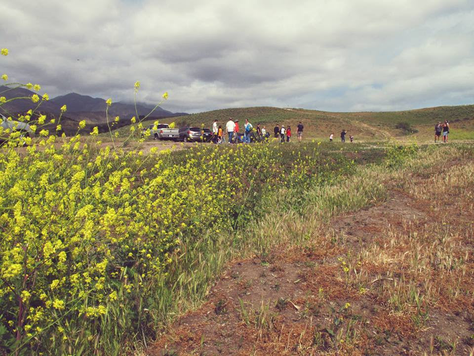 Photo of open ranch with background hills, yellow flowers, people gathered by cars on a dirt road and cloudy sky
